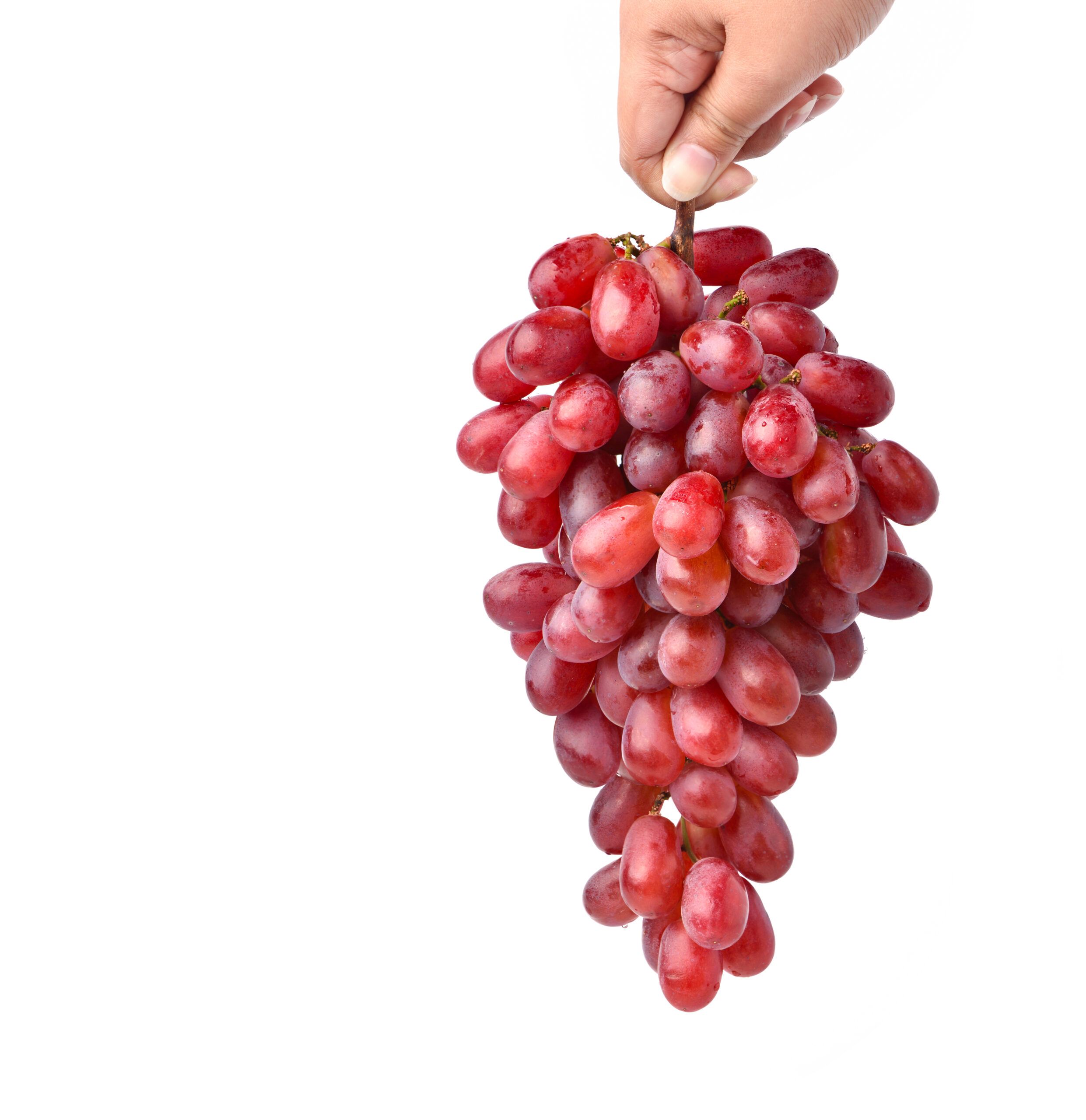A hand holding a bunch of grapes.