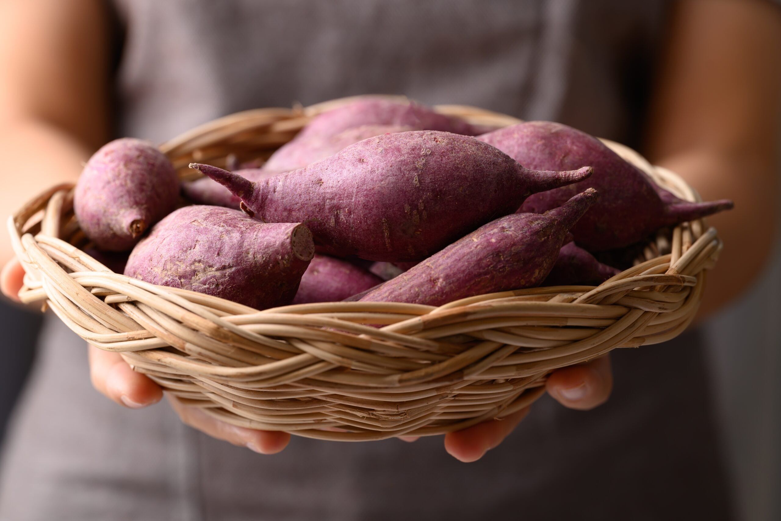 Organic raw sweet potatoes.