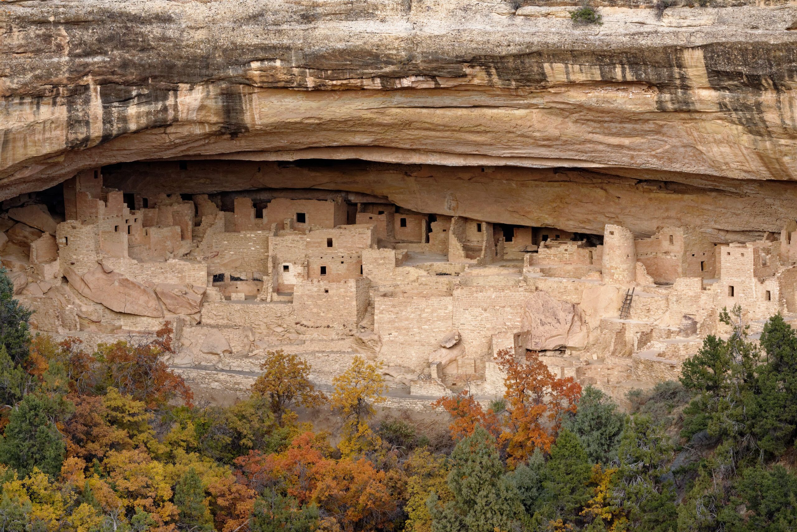 Cliff Palace Mesa VerdeP ark, Colorado.
