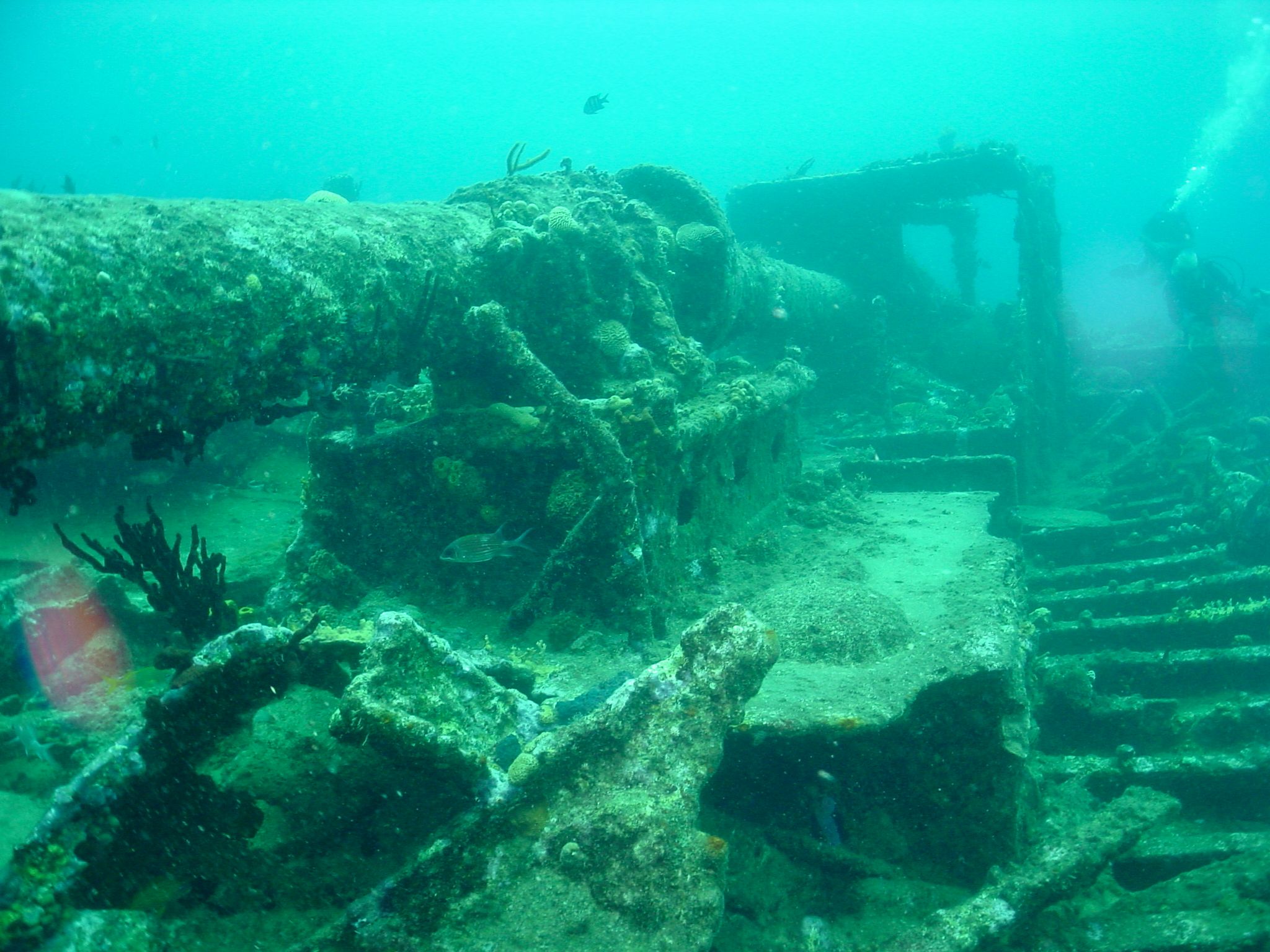 The Ill-Fated Voyage of the RMS Rhone