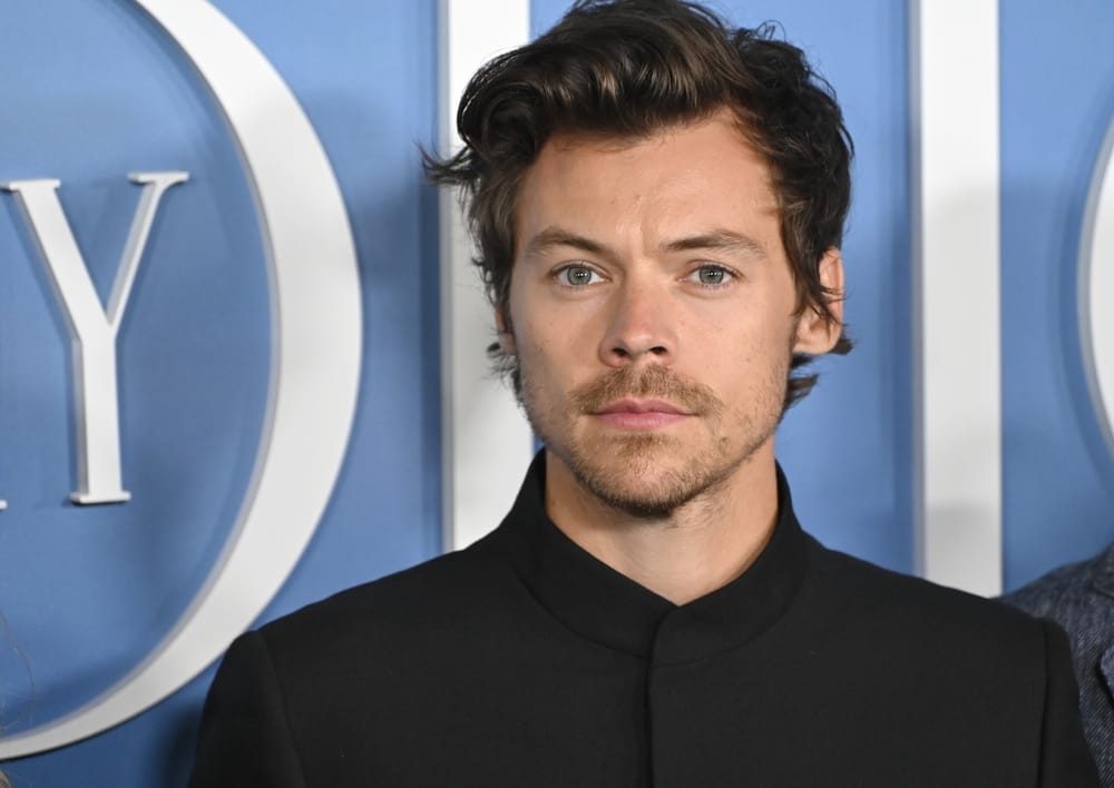 The singer Harry Styles.