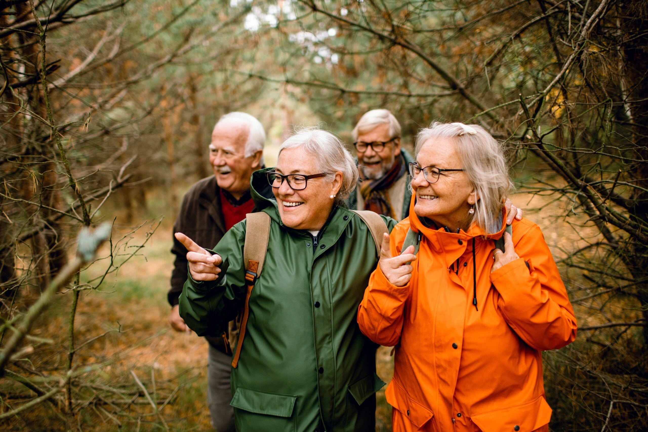 Senior friends exploring a forest trail during an autumn nature hike.