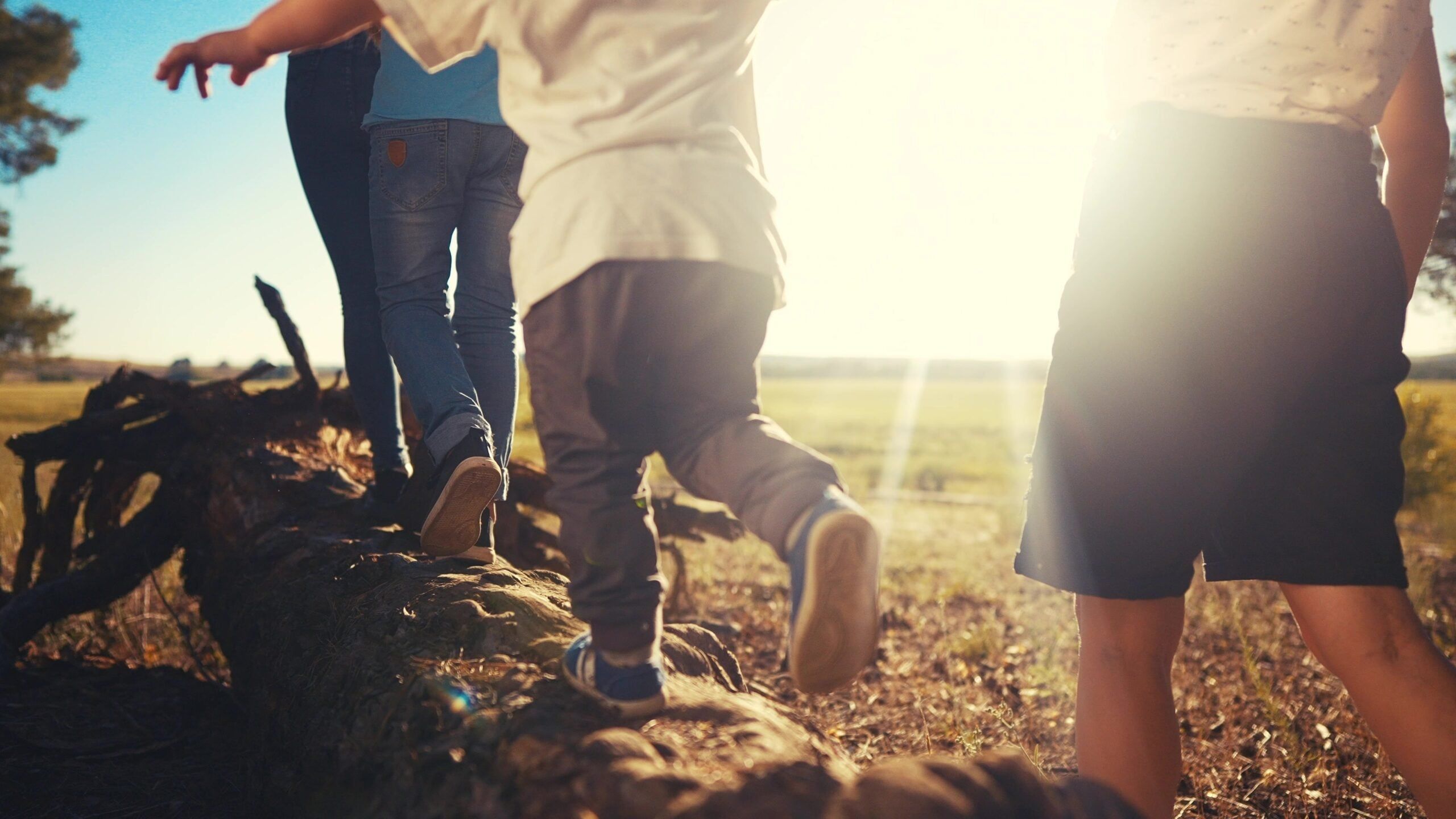 A group of 1960s children playing in the park.
