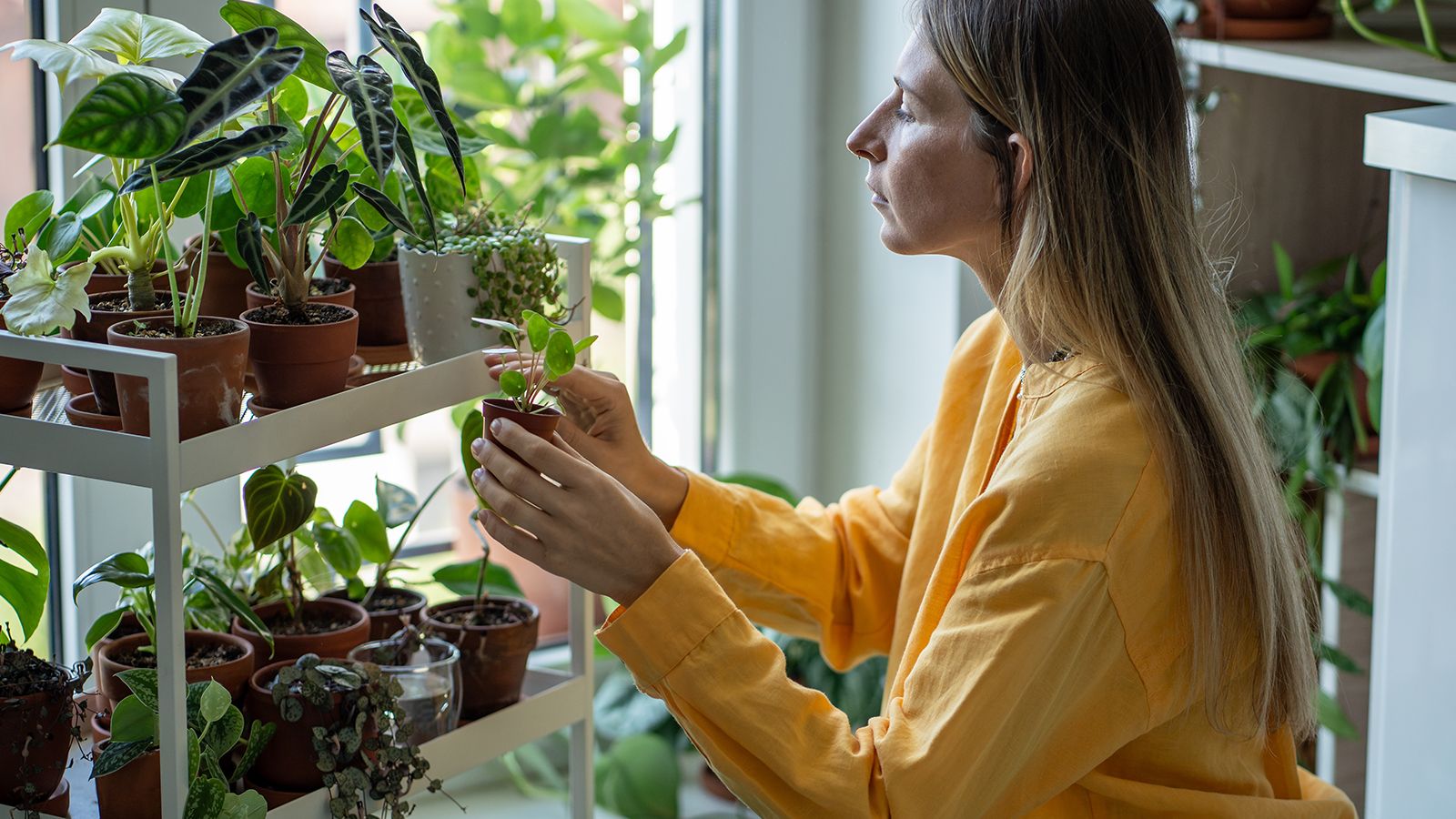 Woman tending and caring for her plant