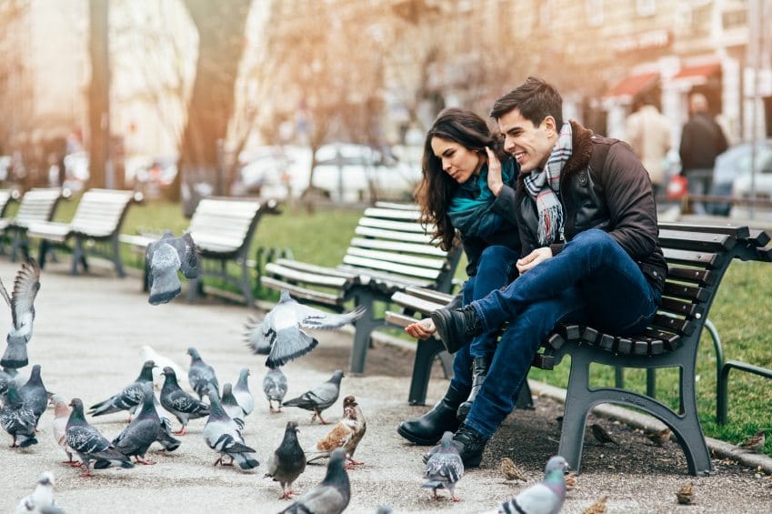 couple feeding birds park