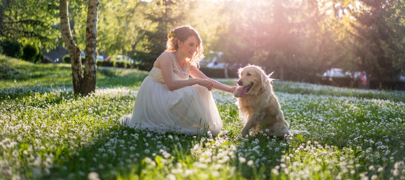 woman marries dog