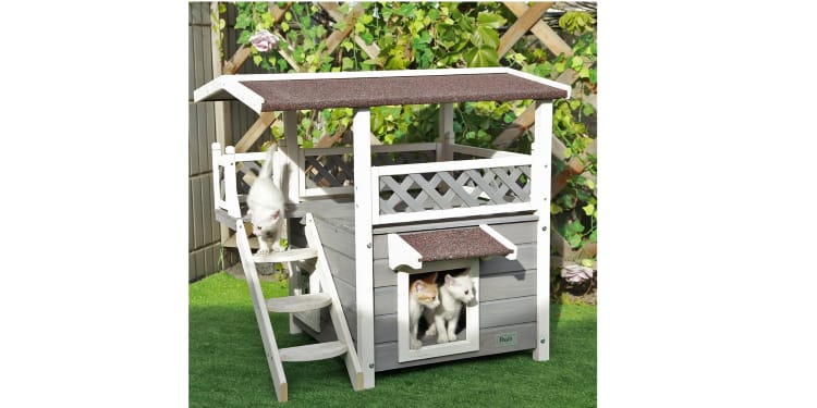 petsfit cat condo