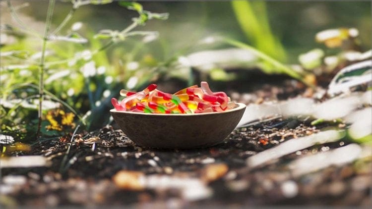 gummy worms