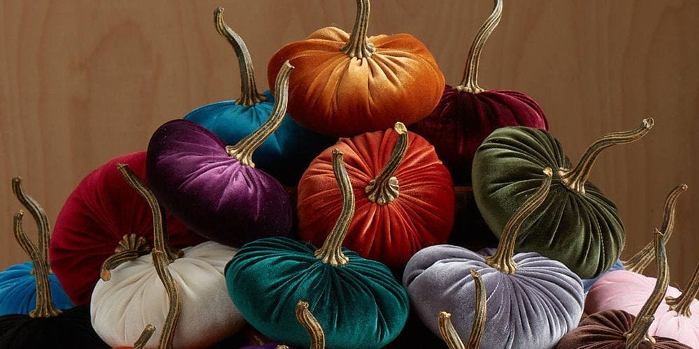 velvet pumpkins