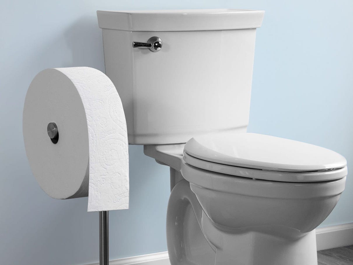 Toilet paper and a toilet.
