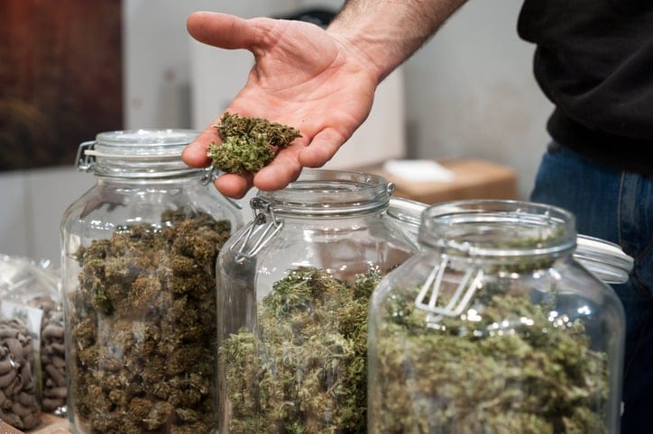 smoke weed get paid