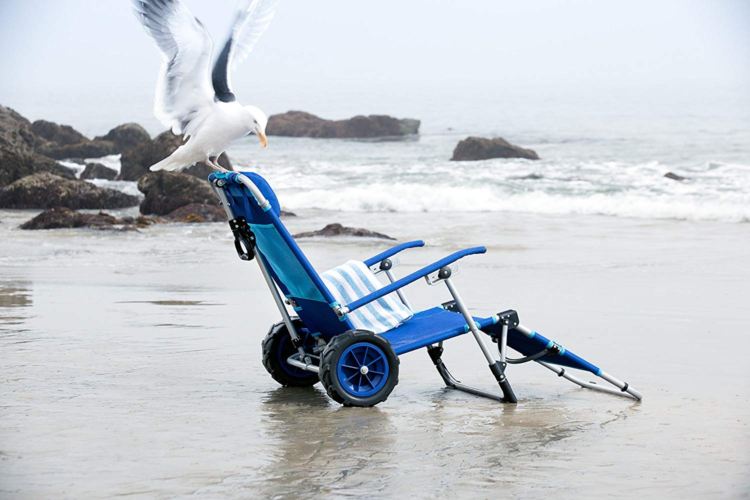 beach lounger wagon