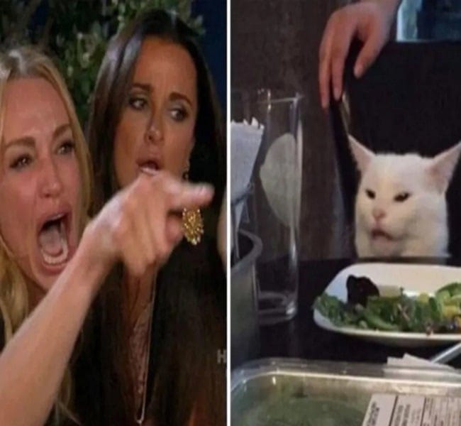 woman vs. cat meme