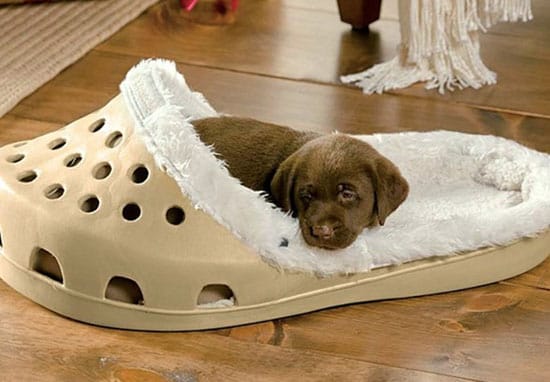 dog slipper bed