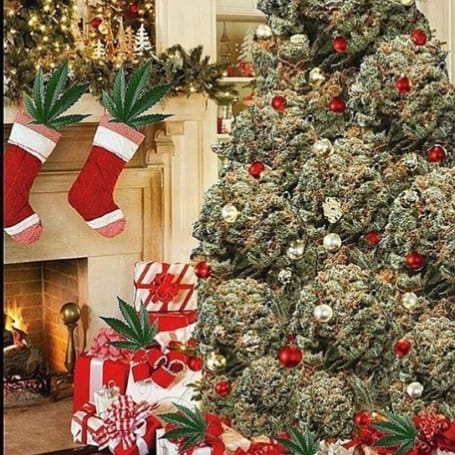weed christmas tree