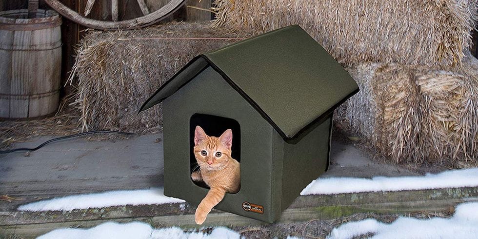 heated cat house