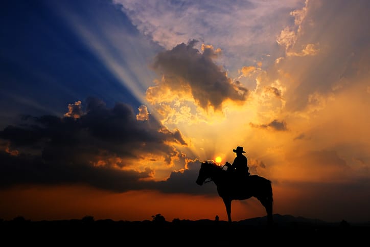 A cowboy on his horse at dusk.