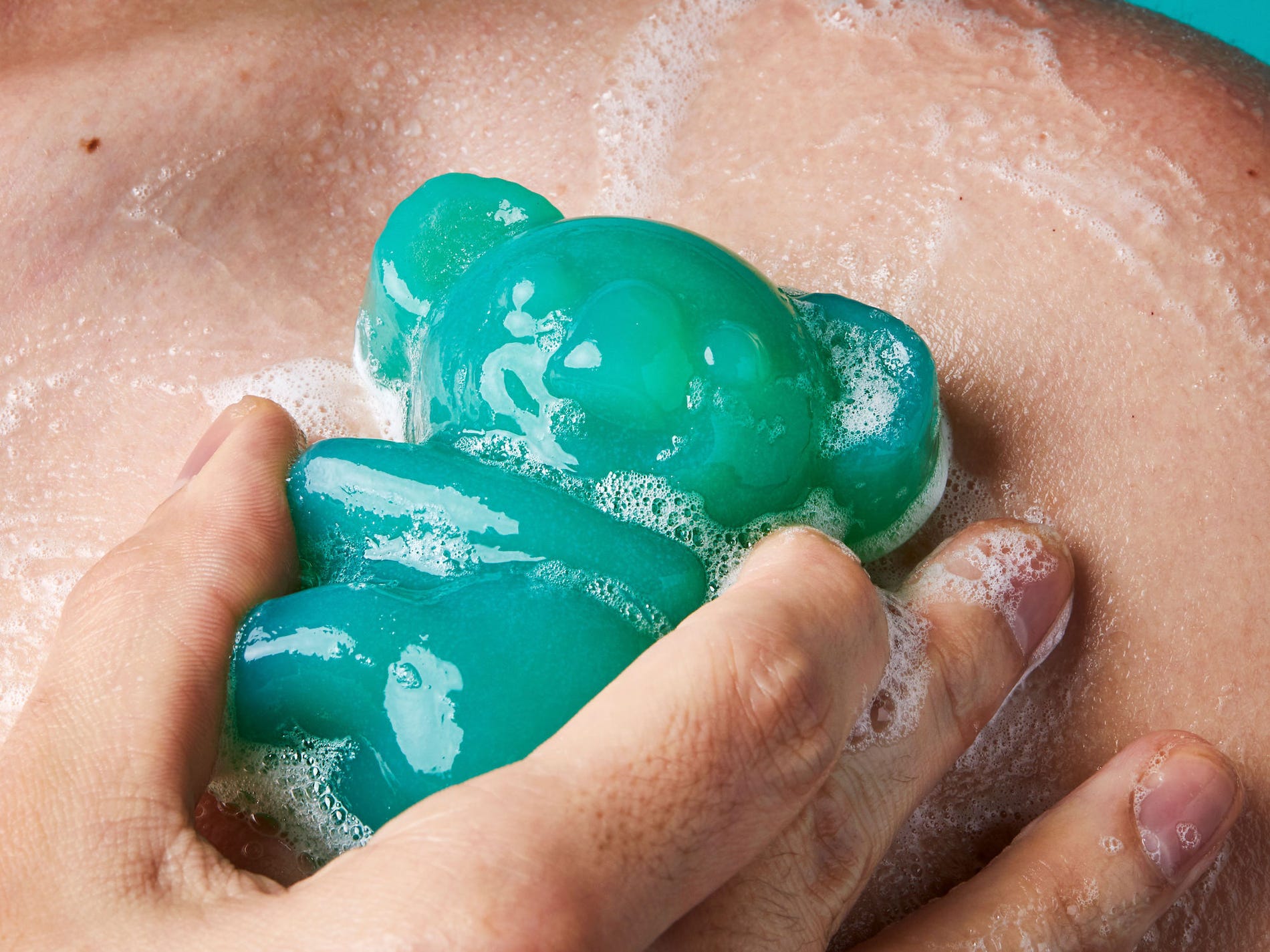 lush koala