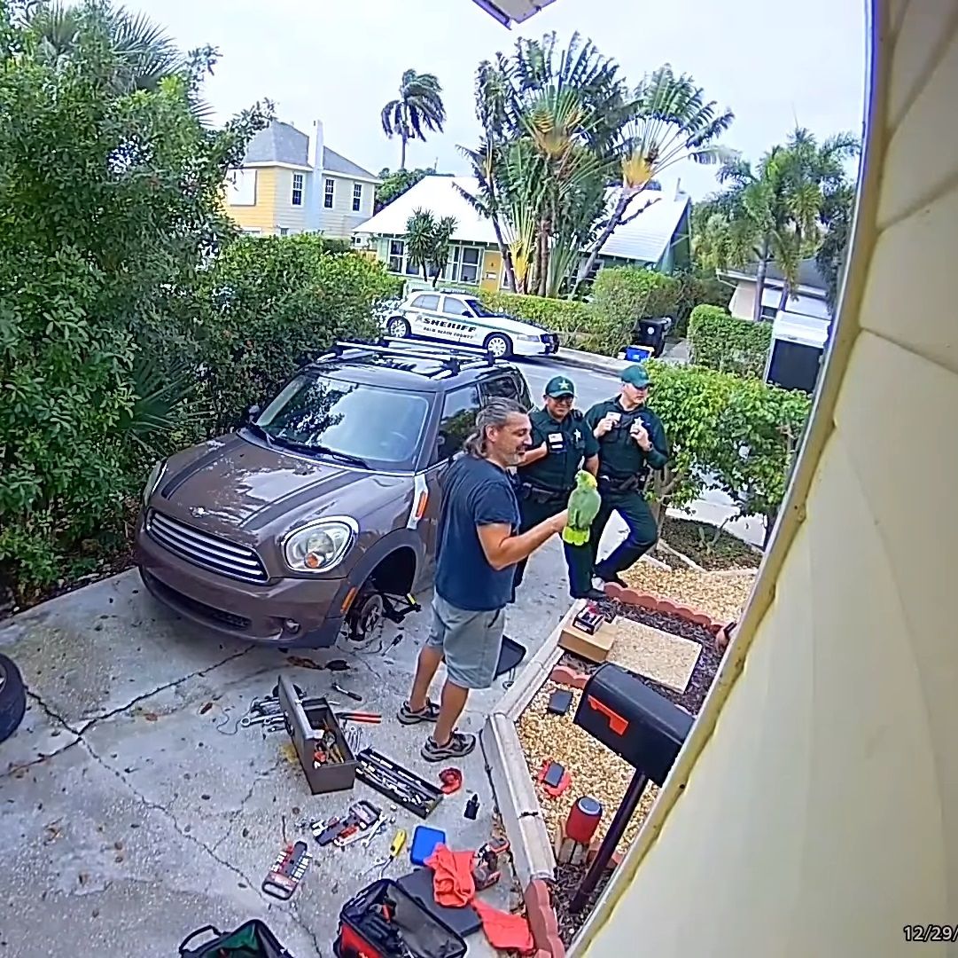 Cops Come To Rescue Woman Screaming “Let Me Out” But It Turns Out To Be A Parrot