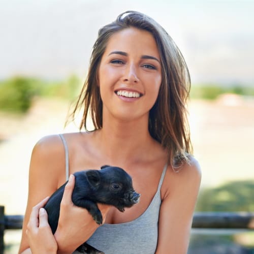 piggy cuddler farm