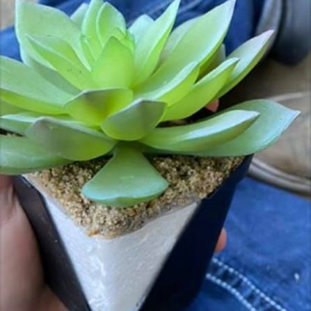 fake houseplant