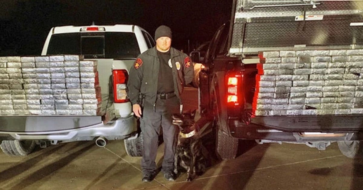 police dog meth