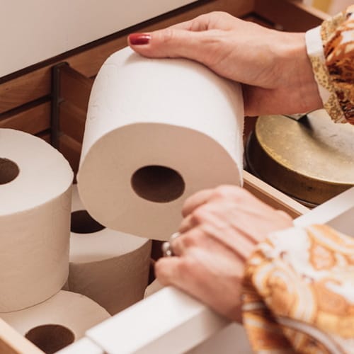 toilet paper arrest