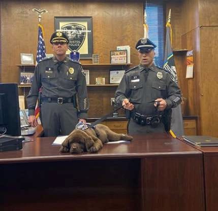police puppy sleeping