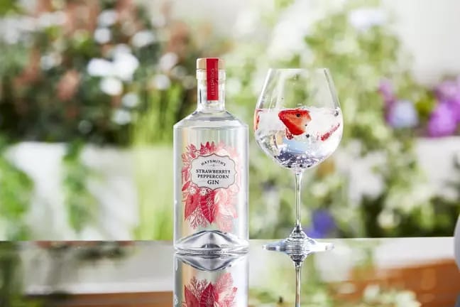 aldi gin