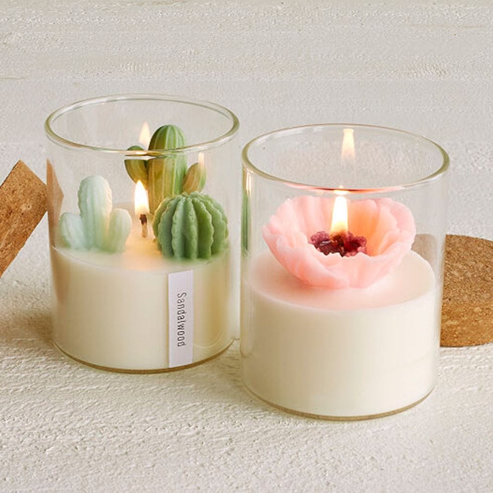 plant candles