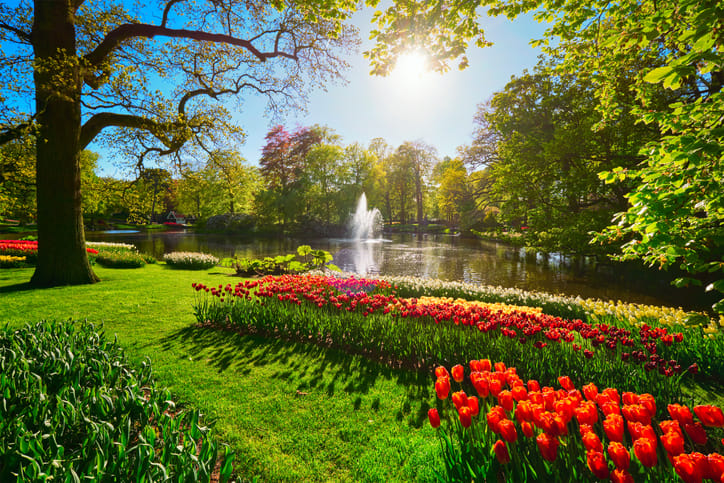 flower garden keukenhof