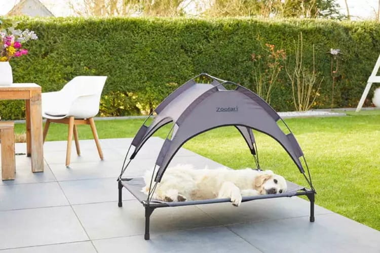 pet sun bed