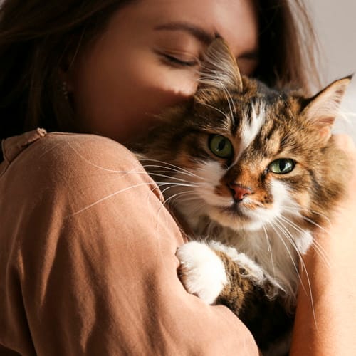 tabby dating app