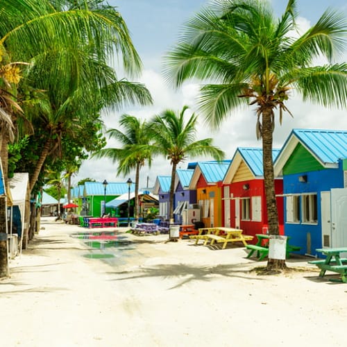 live in barbados