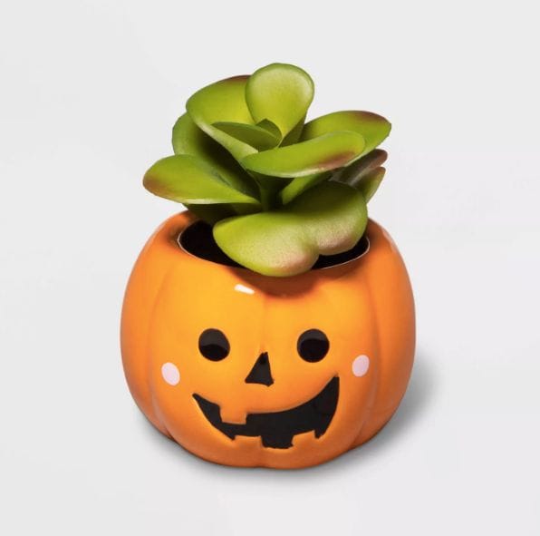 halloween succulent planter