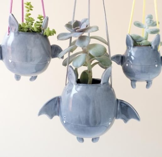 bat planters