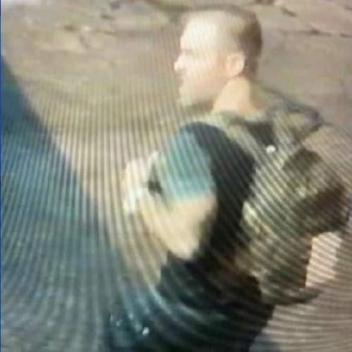 Florida Man Wanted For Stealing Cat Blood From Local Vet Clinic