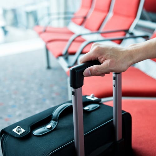 suitcase body parts