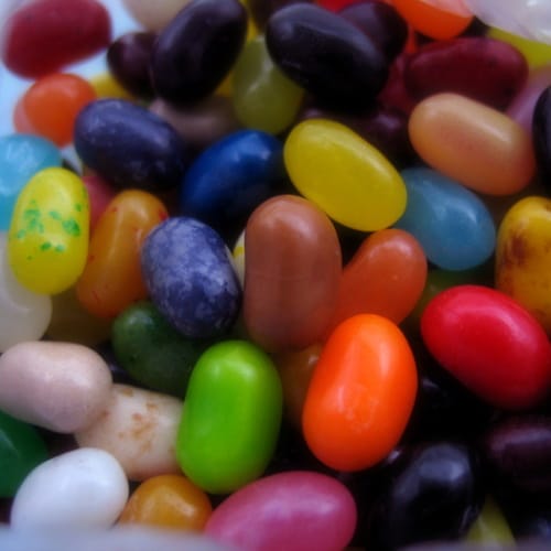 jelly belly factory
