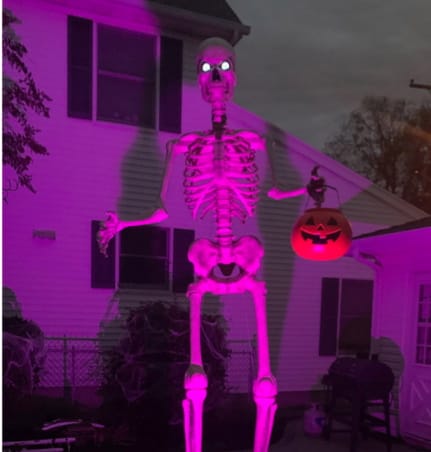 home depot skeleton
