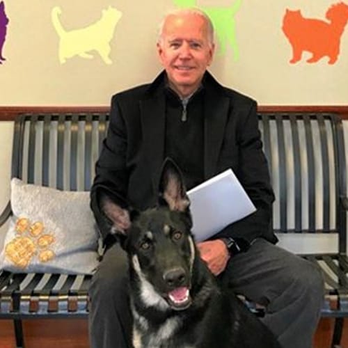 joe biden and his dog