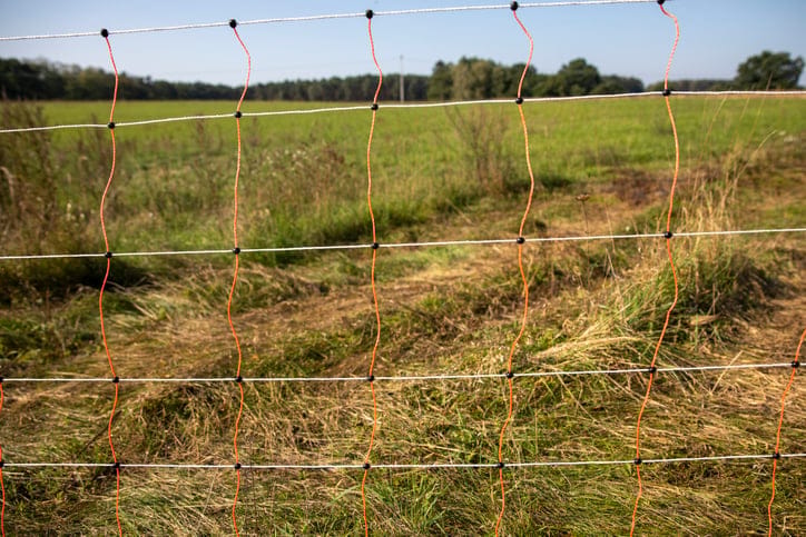 Man Installs Electric Fence Around Yard To Keep Kids Off His Lawn