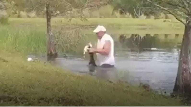 man rescues dog