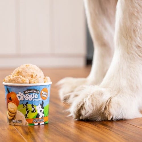 ben & jerry's dog ice cream