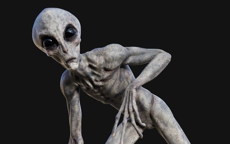 A gray alien.