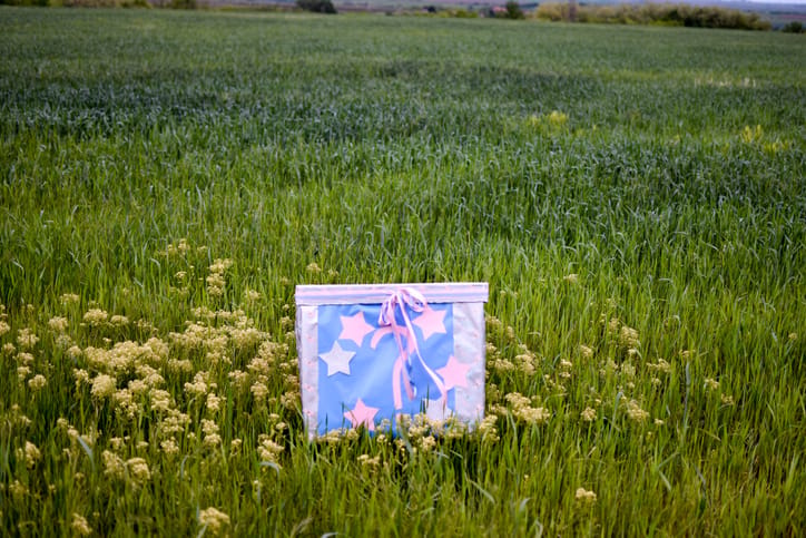Gender Reveal Party That Used 80 Pounds Of Explosives Set Off Earthquake Reports