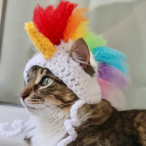 crochet unicorn hat cats