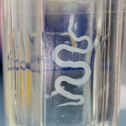 Pageant Mom Fed Daughter Tapeworms To Make Her Lose Weight Before Competition
