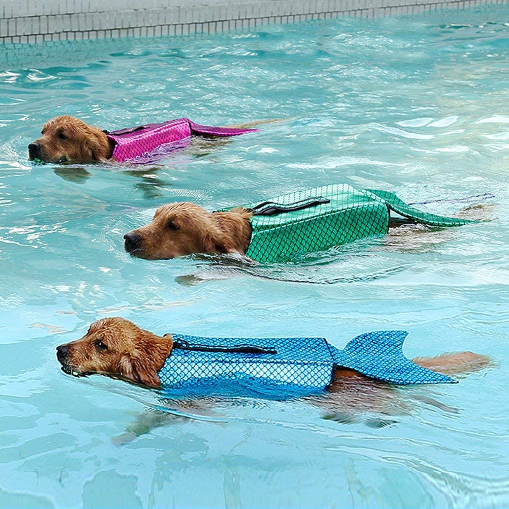 mermaid dogs