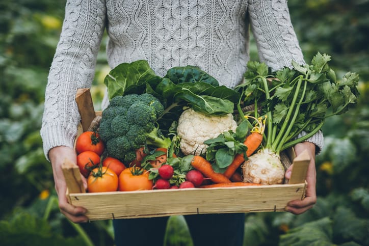 Vegans Are Apparently Upset By News That Plants Scream When ‘Dying’